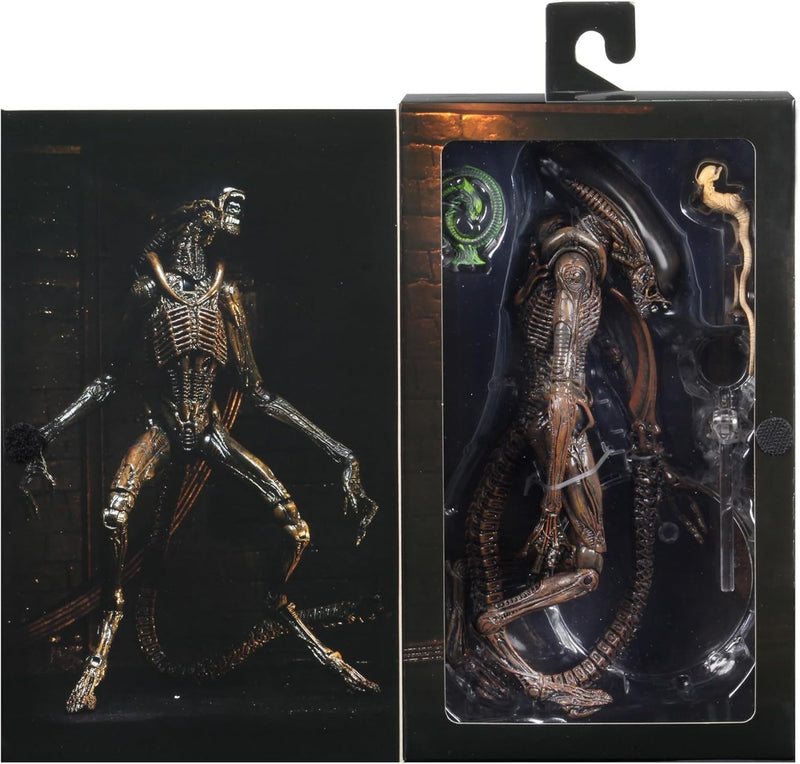 Alien 3 - Neca - Alien Dog Xenomorph Action Figure