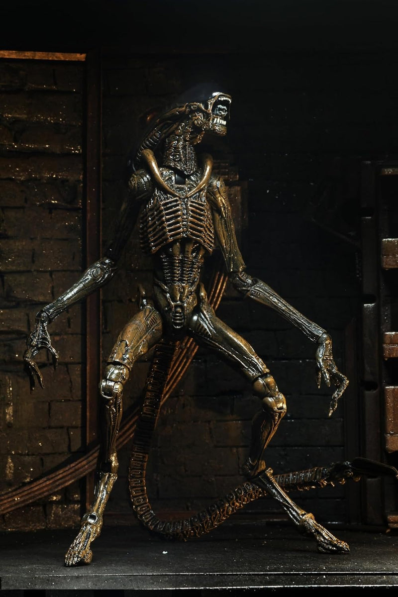 Alien 3 - Neca - Alien Dog Xenomorph Action Figure