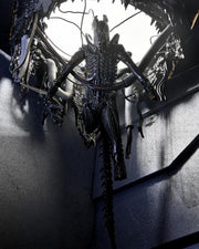 Alien: Romulus - 7" Scale Figure - Deluxe Suspended Lab Xenomorph XX121 - Collectables > Action Figures > toys -  Neca