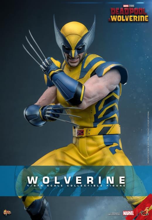 Deadpool & Wolverine - Wolverine 1/6th Scale Collectible Figure - MMS753 - Collectables > Action Figures > toys -  Hot Toys