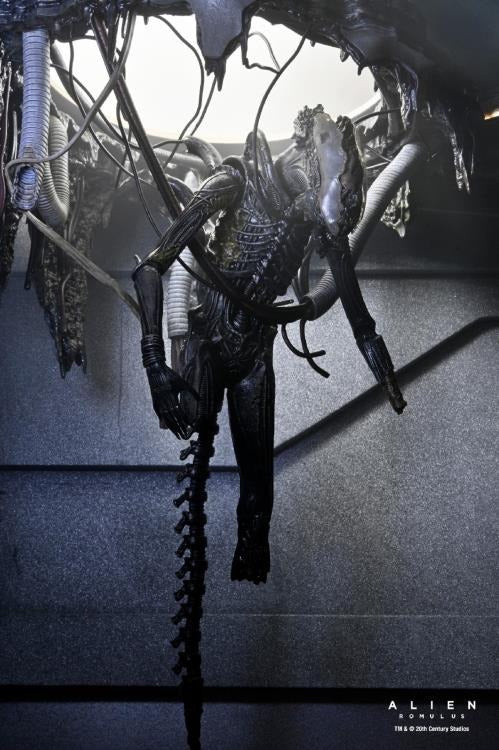 Alien: Romulus - 7" Scale Figure - Deluxe Suspended Lab Xenomorph XX121 - Collectables > Action Figures > toys -  Neca