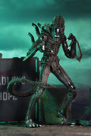 Aliens - Ultimate Warrior (Brown) Action Figure (Preorder Sep 2026) - Collectables > Action Figures > toys -  Neca