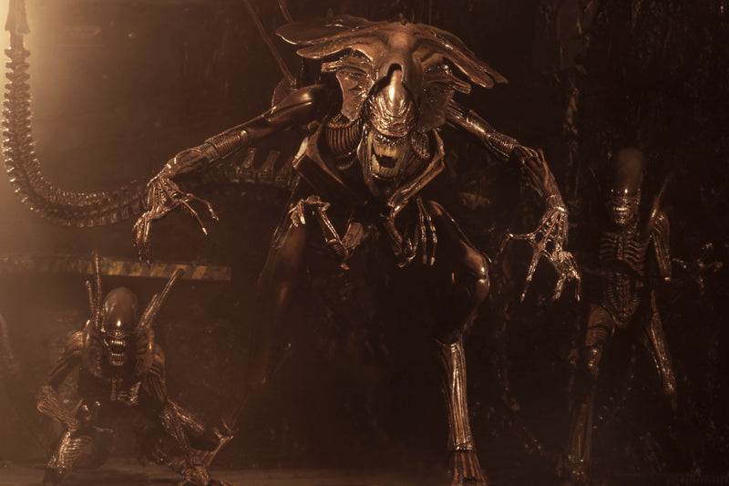 Alien Resurrection - Alien Resurrection Deluxe Queen Ultra Deluxe Boxed Figure (Preorder Sep 2026) - Collectables > Action Figures > toys -  Neca