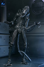 Aliens - 40th Anniversary Ultimate Warrior Xenomorph Action Figure (Preorder Sep 2026) - Collectables > Action Figures > toys -  Neca