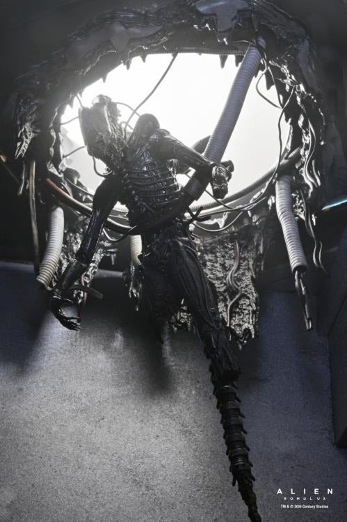 Alien: Romulus - 7" Scale Figure - Deluxe Suspended Lab Xenomorph XX121 - Collectables > Action Figures > toys -  Neca