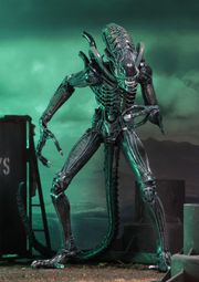 Aliens - Ultimate Warrior (Blue) Action Figure (Preorder Sep 2026) - Collectables > Action Figures > toys -  Neca