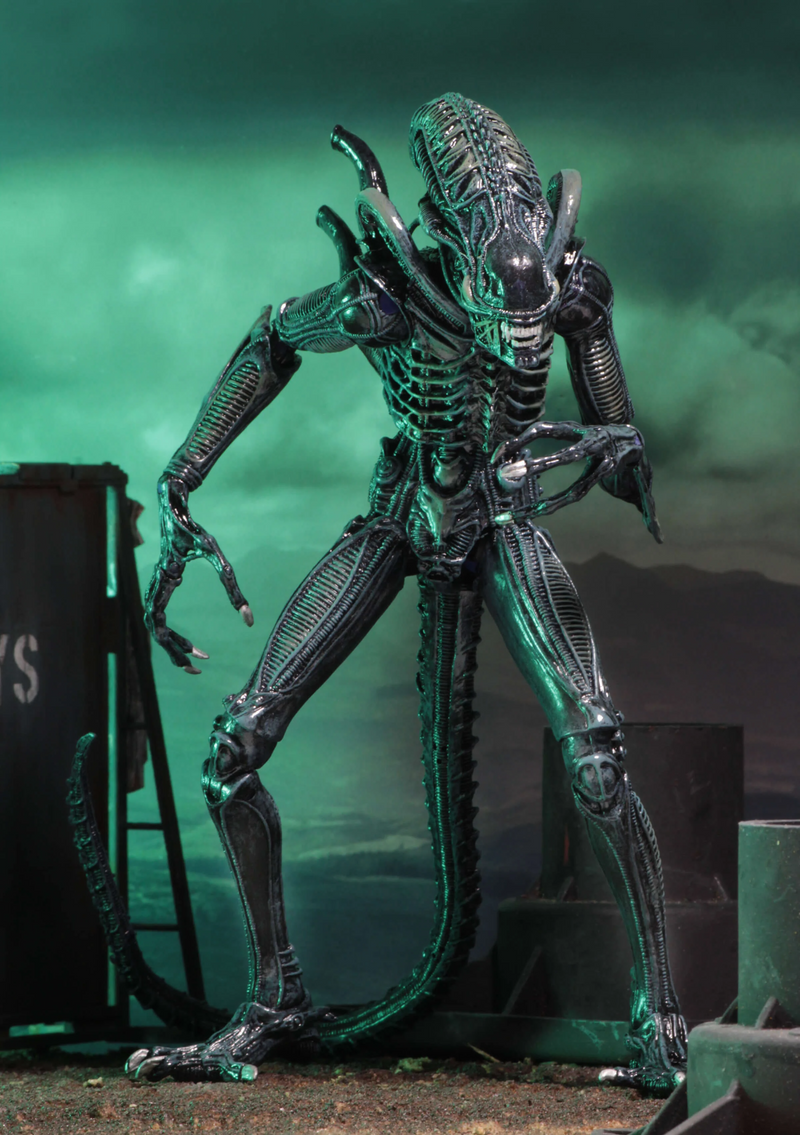 Aliens - Ultimate Warrior (Blue) Action Figure (Preorder Sep 2026) - Collectables > Action Figures > toys -  Neca