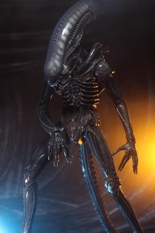 Alien - Big Chap 1/4 Scale Action Figure (Preorder Sep 2026) - Collectables > Action Figures > toys -  Neca