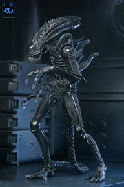 Aliens - 40th Anniversary Ultimate Warrior Xenomorph Action Figure (Preorder Sep 2026) - Collectables > Action Figures > toys -  Neca
