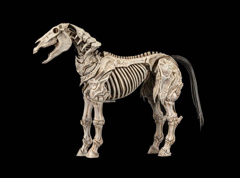 Mythic Legions - Skeleton Steed Legion Builder (Preorder Q4 2027)