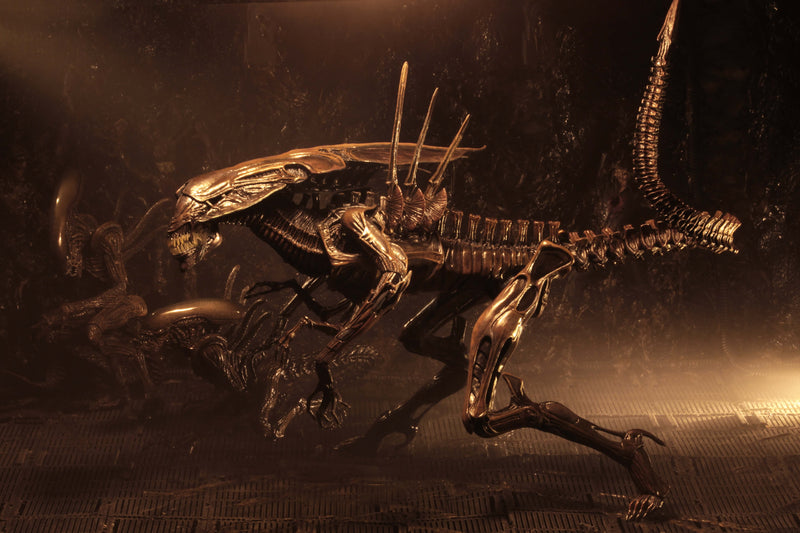 Alien Resurrection - Alien Resurrection Deluxe Queen Ultra Deluxe Boxed Figure (Preorder Sep 2026) - Collectables > Action Figures > toys -  Neca