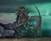 Aliens - Ultimate Warrior (Brown) Action Figure (Preorder Sep 2026) - Collectables > Action Figures > toys -  Neca