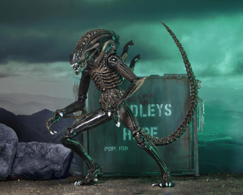 Aliens - Ultimate Warrior (Brown) Action Figure (Preorder Sep 2026) - Collectables > Action Figures > toys -  Neca