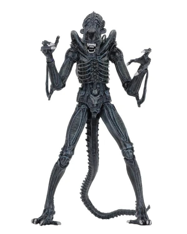 Aliens - Ultimate Warrior (Blue) Action Figure (Preorder Sep 2026) - Collectables > Action Figures > toys -  Neca