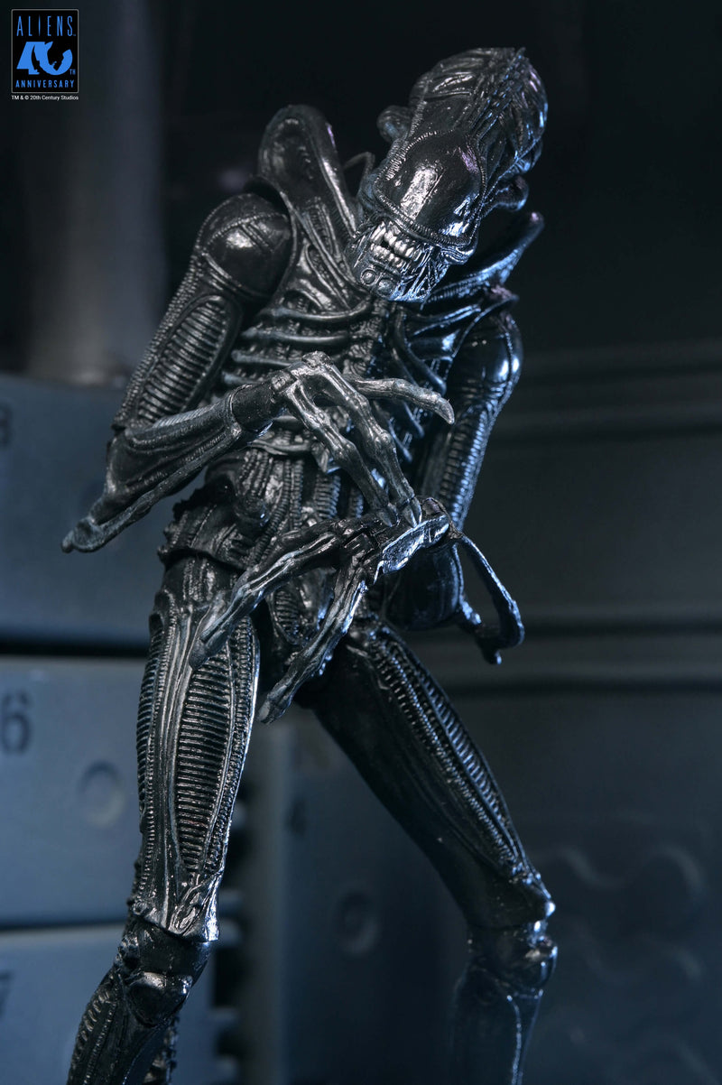 Aliens - 40th Anniversary Ultimate Warrior Xenomorph Action Figure (Preorder Sep 2026) - Collectables > Action Figures > toys -  Neca