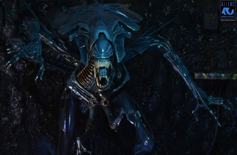 Aliens - 40th Anniversary Alien Queen Ultra Deluxe Boxed Figure (Preorder Sep 2026) - Collectables > Action Figures > toys -  Neca