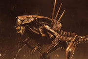 Alien Resurrection - Alien Resurrection Deluxe Queen Ultra Deluxe Boxed Figure (Preorder Sep 2026) - Collectables > Action Figures > toys -  Neca