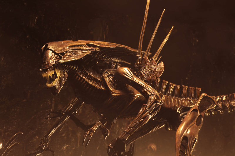 Alien Resurrection - Alien Resurrection Deluxe Queen Ultra Deluxe Boxed Figure (Preorder Sep 2026) - Collectables > Action Figures > toys -  Neca