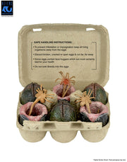 Aliens - 40th Anniversary Carton of Alien Eggs 6 Pack (Preorder Sep 2026) - Collectables > Action Figures > toys -  Neca
