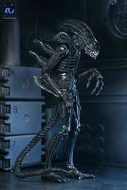 Aliens - 40th Anniversary Ultimate Warrior Xenomorph Action Figure (Preorder Sep 2026) - Collectables > Action Figures > toys -  Neca