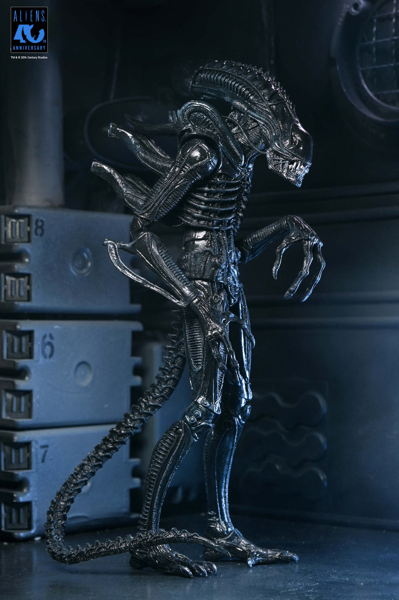 Aliens - 40th Anniversary Ultimate Warrior Xenomorph Action Figure (Preorder Sep 2026) - Collectables > Action Figures > toys -  Neca