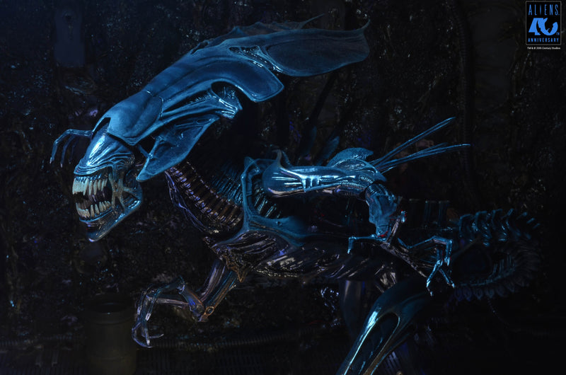 Aliens - 40th Anniversary Alien Queen Ultra Deluxe Boxed Figure (Preorder Sep 2026) - Collectables > Action Figures > toys -  Neca