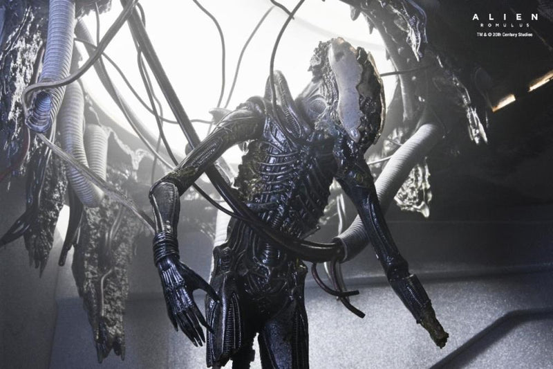 Alien: Romulus - 7" Scale Figure - Deluxe Suspended Lab Xenomorph XX121 - Collectables > Action Figures > toys -  Neca
