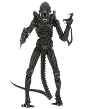 Aliens - Ultimate Warrior (Brown) Action Figure (Preorder Sep 2026) - Collectables > Action Figures > toys -  Neca
