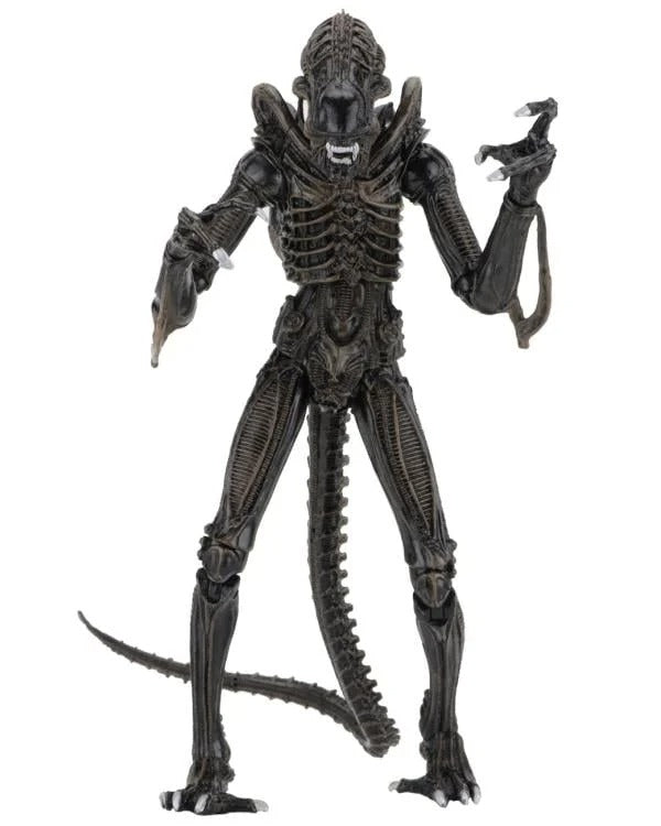 Aliens - Ultimate Warrior (Brown) Action Figure (Preorder Sep 2026) - Collectables > Action Figures > toys -  Neca