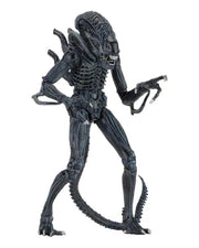 Aliens - Ultimate Warrior (Blue) Action Figure (Preorder Sep 2026) - Collectables > Action Figures > toys -  Neca