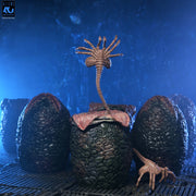 Aliens - 40th Anniversary Carton of Alien Eggs 6 Pack (Preorder Sep 2026) - Collectables > Action Figures > toys -  Neca