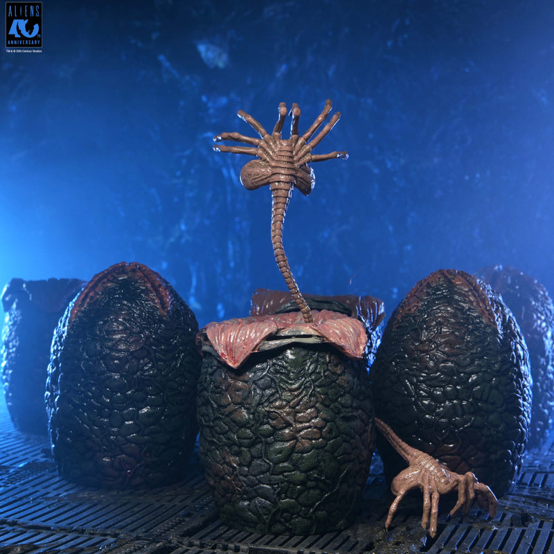 Aliens - 40th Anniversary Carton of Alien Eggs 6 Pack (Preorder Sep 2026) - Collectables > Action Figures > toys -  Neca