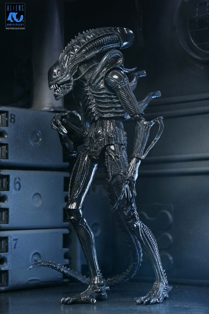 Aliens - 40th Anniversary Ultimate Warrior Xenomorph Action Figure (Preorder Sep 2026) - Collectables > Action Figures > toys -  Neca