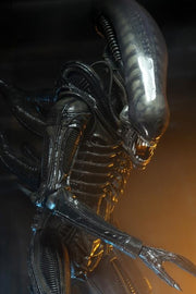 Alien - Big Chap 1/4 Scale Action Figure (Preorder Sep 2026) - Collectables > Action Figures > toys -  Neca