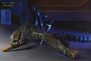 Alien: Romulus - 7" Scale Figure - Deluxe Suspended Lab Xenomorph XX121 - Collectables > Action Figures > toys -  Neca