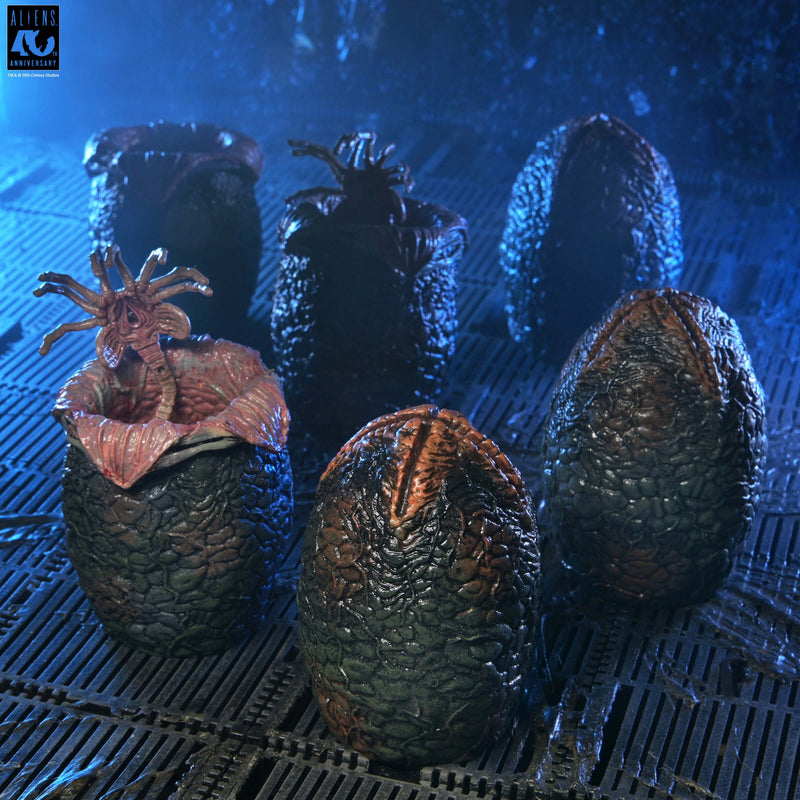Aliens - 40th Anniversary Carton of Alien Eggs 6 Pack (Preorder Sep 2026) - Collectables > Action Figures > toys -  Neca
