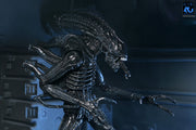 Aliens - 40th Anniversary Ultimate Warrior Xenomorph Action Figure (Preorder Sep 2026) - Collectables > Action Figures > toys -  Neca
