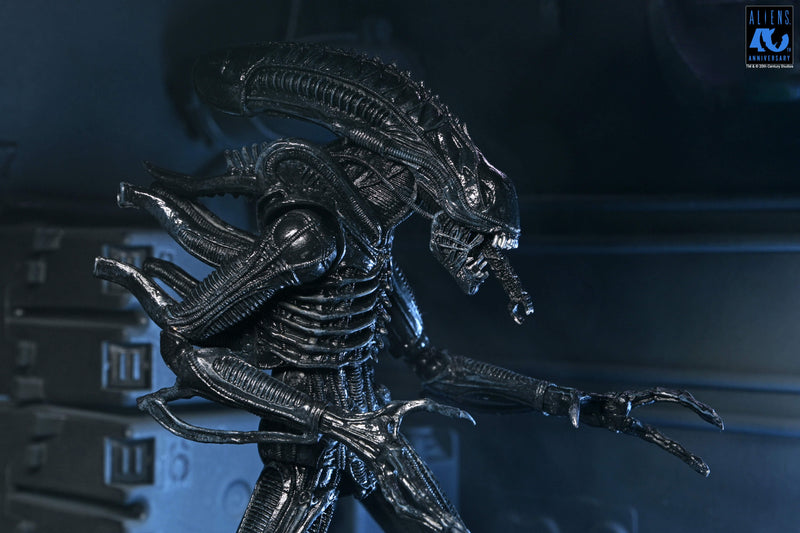 Aliens - 40th Anniversary Ultimate Warrior Xenomorph Action Figure (Preorder Sep 2026) - Collectables > Action Figures > toys -  Neca