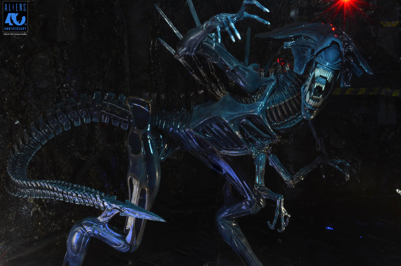 Aliens - 40th Anniversary Alien Queen Ultra Deluxe Boxed Figure (Preorder Sep 2026) - Collectables > Action Figures > toys -  Neca