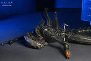 Alien: Romulus - 7" Scale Figure - Deluxe Suspended Lab Xenomorph XX121 - Collectables > Action Figures > toys -  Neca