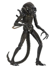 Aliens - Ultimate Warrior (Brown) Action Figure (Preorder Sep 2026) - Collectables > Action Figures > toys -  Neca