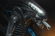 Alien - Big Chap 1/4 Scale Action Figure (Preorder Sep 2026) - Collectables > Action Figures > toys -  Neca