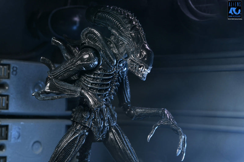Aliens - 40th Anniversary Ultimate Warrior Xenomorph Action Figure (Preorder Sep 2026) - Collectables > Action Figures > toys -  Neca