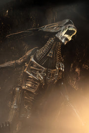 Alien Resurrection - Alien Resurrection Deluxe Queen Ultra Deluxe Boxed Figure (Preorder Sep 2026) - Collectables > Action Figures > toys -  Neca