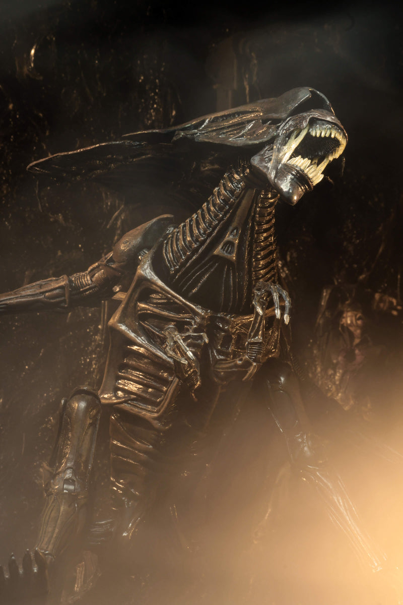 Alien Resurrection - Alien Resurrection Deluxe Queen Ultra Deluxe Boxed Figure (Preorder Sep 2026) - Collectables > Action Figures > toys -  Neca