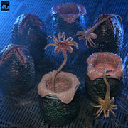 Aliens - 40th Anniversary Carton of Alien Eggs 6 Pack (Preorder Sep 2026) - Collectables > Action Figures > toys -  Neca