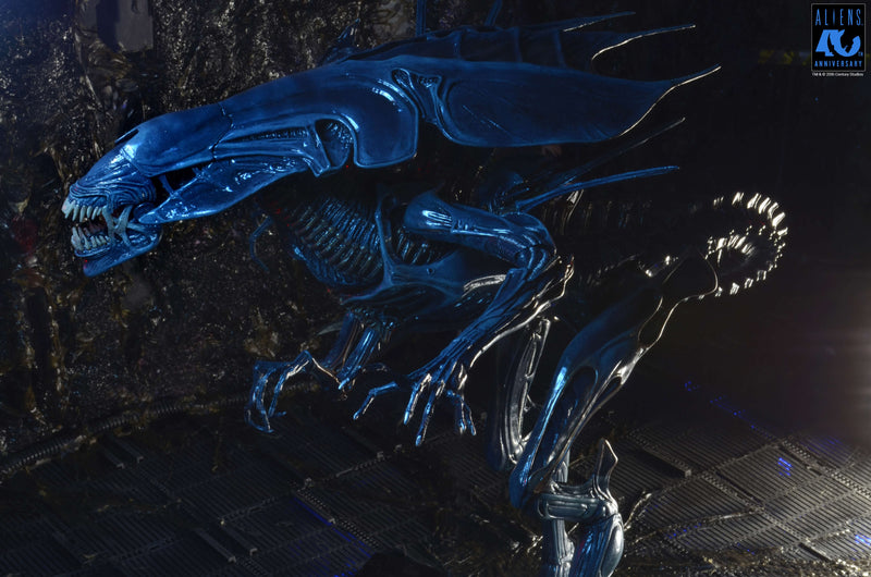 Aliens - 40th Anniversary Alien Queen Ultra Deluxe Boxed Figure (Preorder Sep 2026) - Collectables > Action Figures > toys -  Neca
