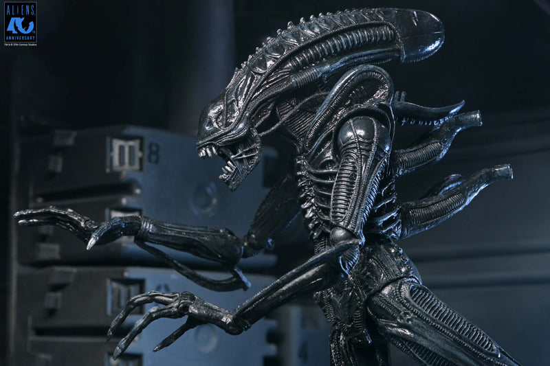 Aliens - 40th Anniversary Ultimate Warrior Xenomorph Action Figure (Preorder Sep 2026) - Collectables > Action Figures > toys -  Neca