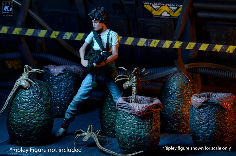 Aliens - 40th Anniversary Carton of Alien Eggs 6 Pack (Preorder Sep 2026) - Collectables > Action Figures > toys -  Neca
