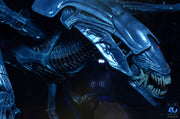 Aliens - 40th Anniversary Alien Queen Ultra Deluxe Boxed Figure (Preorder Sep 2026) - Collectables > Action Figures > toys -  Neca